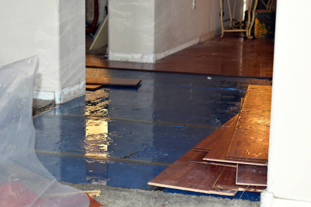 Professional Basement Flood Cleanup technician working in Londonderry, NH